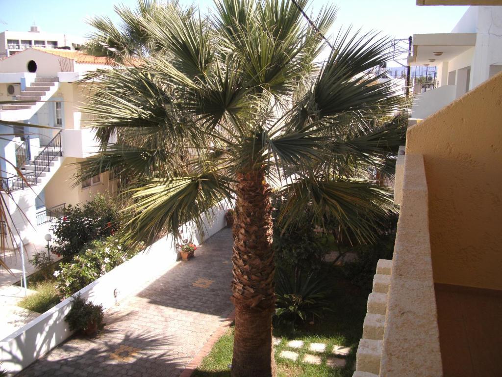 Lia Sofia Apartments Stalida Habitación foto